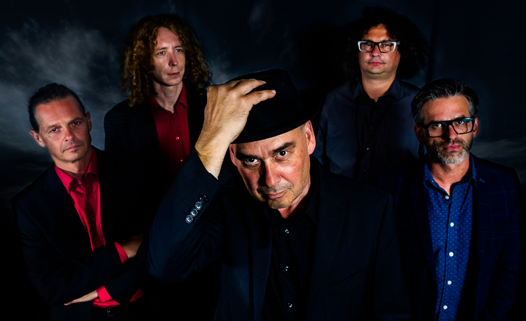 ORGANized CRIME ORGANized CRIME